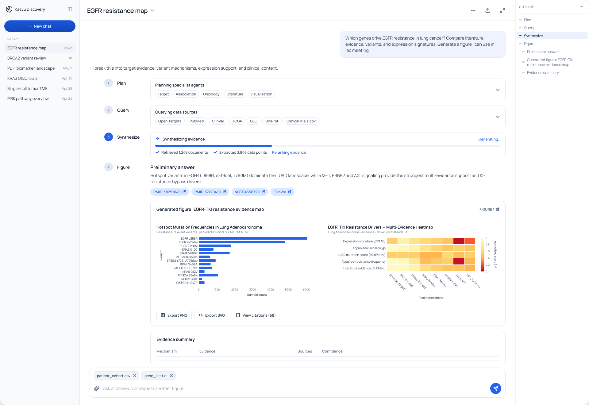 Kasvu Discovery dashboard preview